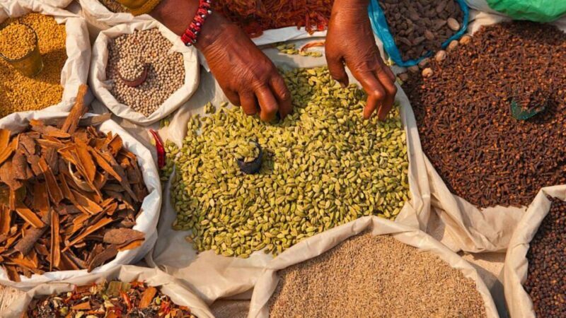 Old Delhi: 3-Hour Private Tuk-Tuk/Rickshaw Ride Tour - The Value of This Tour