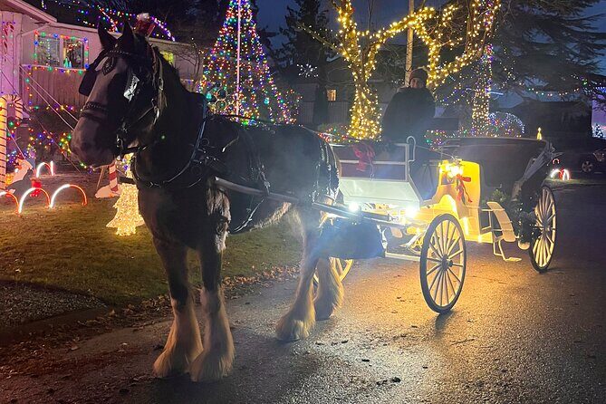 Old fashioned Horse Drawn Caroling Tour - The Experience in Detail: What to Expect