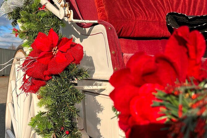 Old fashioned Horse Drawn Caroling Tour - Who Will Enjoy This Tour?