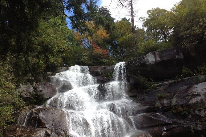 Old Growth Forest Cascade - Who Should Consider This Tour?
