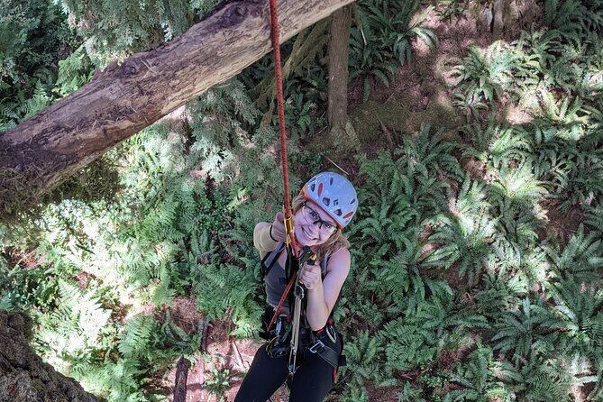 Old-Growth Tree Climbing at Silver Falls State Park - A Deep Dive into the Old-Growth Tree Climbing Experience at Silver Falls