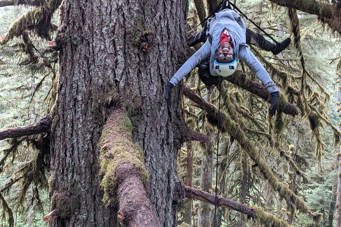 Old-Growth Tree Climbing at Silver Falls State Park - FAQ: Your Questions About Old-Growth Tree Climbing at Silver Falls