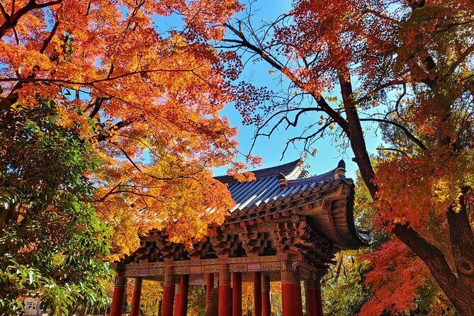 Old Korea Thousand History Tour of Gyeongju from Busan - Authentic Experiences and Practical Insights