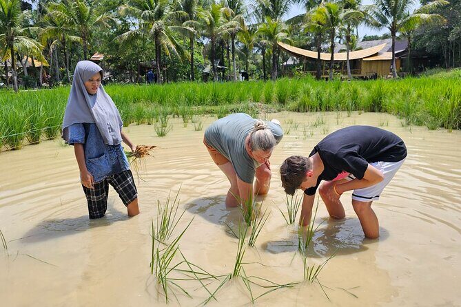 Old Phuket Farm Ticket - Countryside Local Life Culture - Final Thoughts