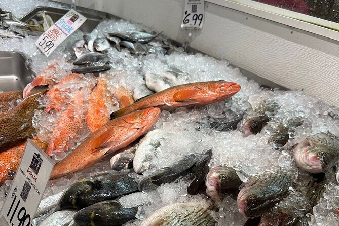 Old Port Working Waterfront Walking Tour and Seafood Tasting - Final Thoughts