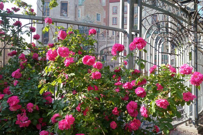 Old Quebec City Private Walking Tour : History and Nature - The Sum Up: Is This Tour Right for You?