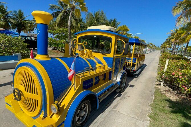 Old San Juan Trolley and Sightseeing Tour - Who Is This Tour Best For?