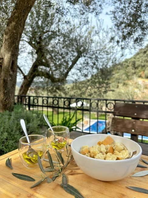 Old Town Bar, Old Olive Tree and the region of olive groves - FAQ
