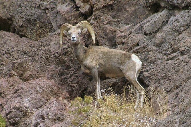 Old West ATV or RZR Adventure with Gold Mine Tour and Lunch - An In-Depth Look at the Old West ATV and Gold Mine Tour