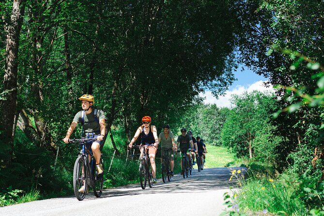 Olden: Fjord e-bike tour - Key Points