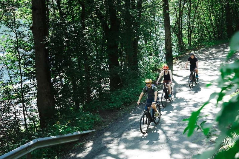 Olden: Guided e-bike tour - Olden: Guided E-Bike Tour – A Practical Guide for Curious Travelers