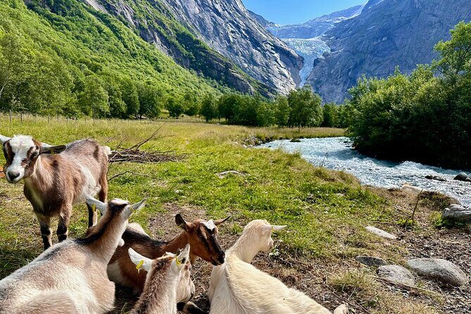 Olden Private Shore Excursion Briksdal Glacier and SkyLift Loen - Who Would Love This Experience?