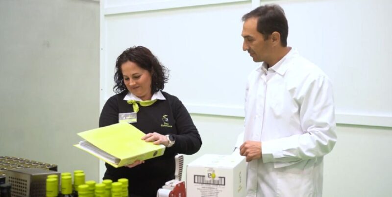 OleoAlmanzora: Guided tour + EVOO Breakfast/Afternoon tea - The Sum Up