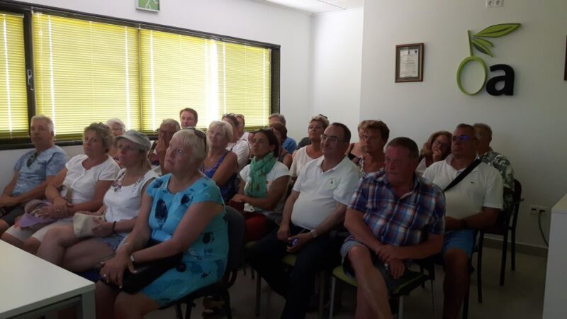 OleoAlmanzora: Guided tour + Masterclass of EVOO tasting Eng - An In-Depth Look at the OleoAlmanzora Tour