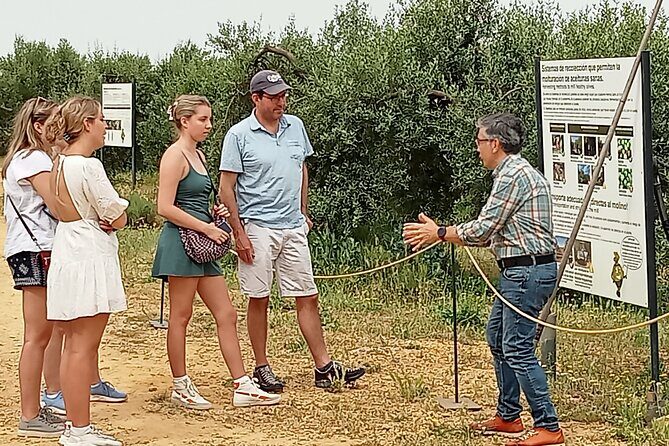 Oleotourism and olive oil tasting in Seville - Private tour - A Closer Look at the Oleotourism and Olive Oil Tasting in Seville