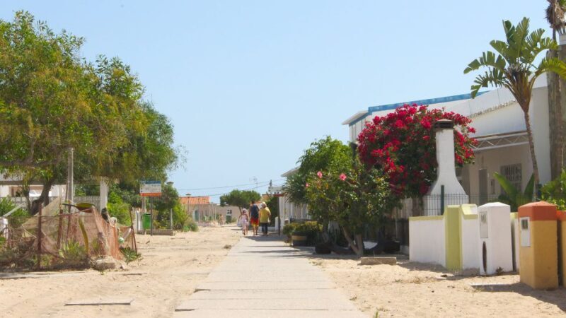 Olhão: 4-Hour Ria Formosa Islands Tour - Who Should Take This Tour?