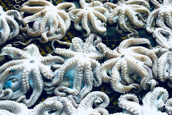 Olhão Fish Market & Food Tour - FAQ