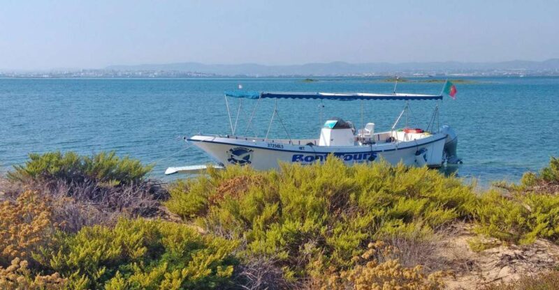 Olhão: Private Boat Tour to Ria Formosa - An Overview of the Experience