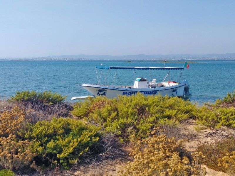 Olhão: Private Boat Tour to Ria Formosa - Price and Value