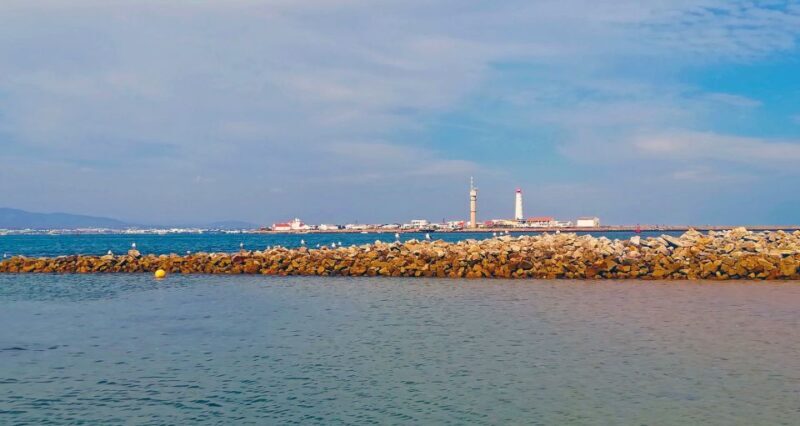 Olhão: Private Boat Tour to Ria Formosa - Who Will This Tour Suit?