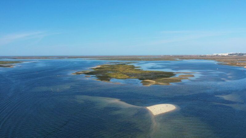Olhão: Ria Formosa National Park and Islands Boat Cruise - Authentic and Educational Experiences