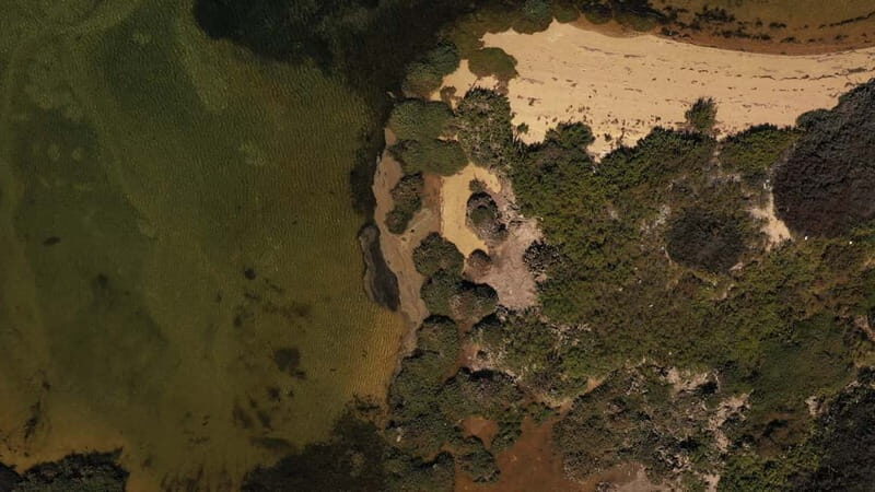 Olhão: Ria Formosa National Park and Islands Boat Cruise - Practical Tips