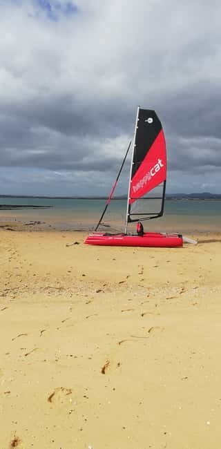 Olhao : sailing tour on a small catamaran on the Ria Formosa - Who Will Love This Tour?