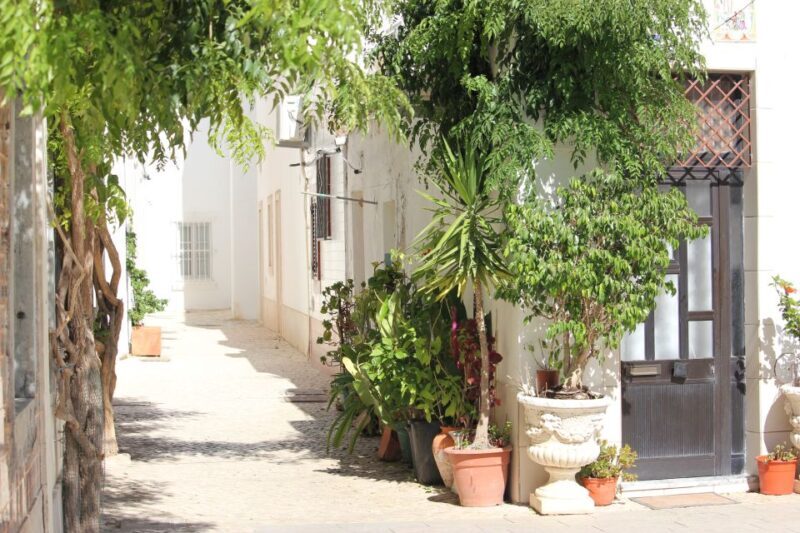 Olhão: Visit and play at the same time - Family trip - Who Will Love This Experience?