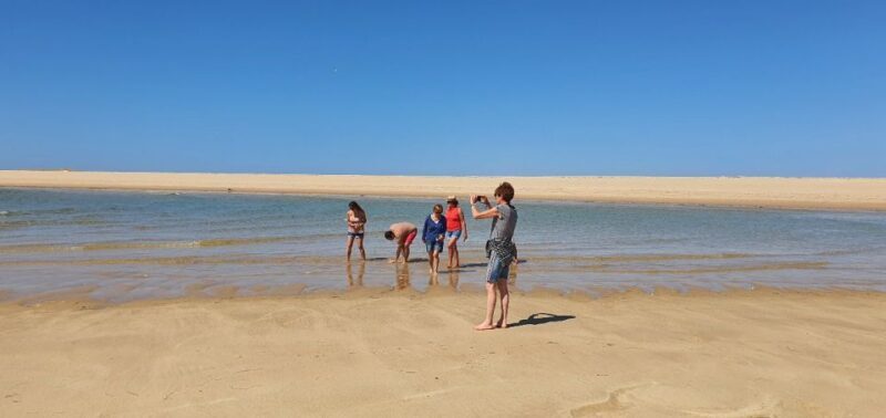 Olhão:5h ride 3 stops on the beaches and islands Ria Formosa - Exploring Ria Formosa: A 5-Hour Boat Trip from Olhão