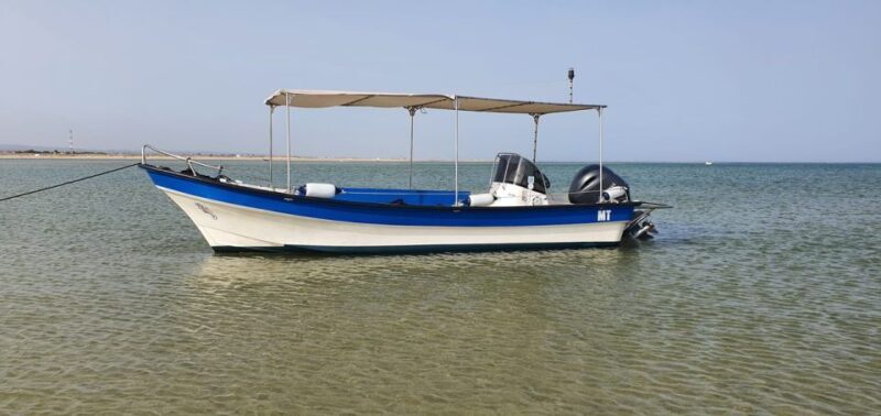 Olhão:5h ride 3 stops on the beaches and islands Ria Formosa - Final Thoughts
