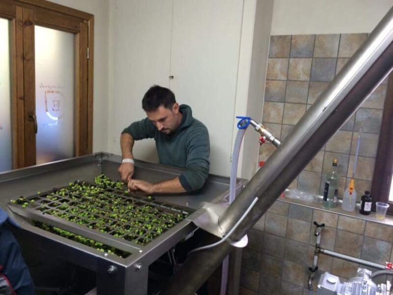 Olive Mill Tour with Oil and Food Tastings near Pisa - FAQ