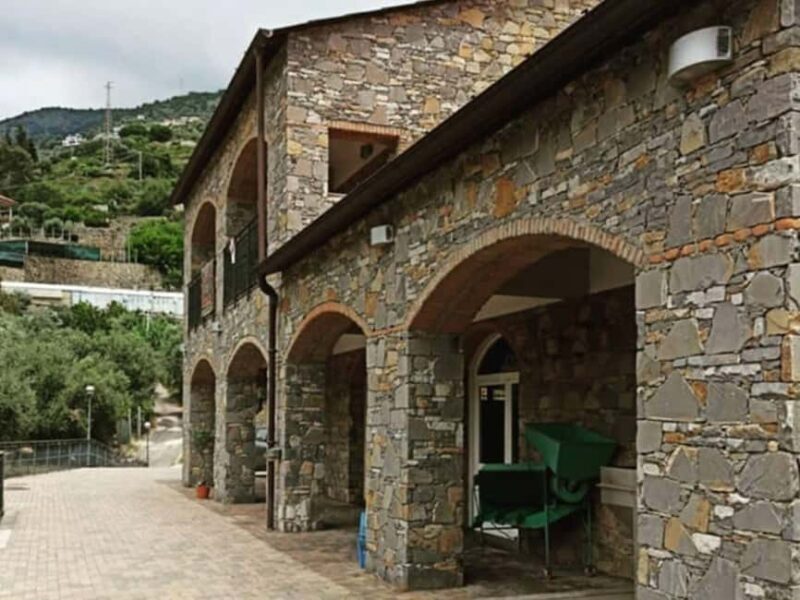 Olive Mill Visit & Guided Tasting in Taggia - Key Points