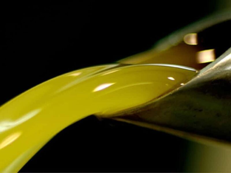 Olive Mill Visit & Guided Tasting in Taggia - Why This Tour Matters for Travelers