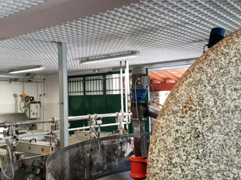 Olive Mill Visit & Guided Tasting in Taggia - Final Thoughts: Who Should Consider This Tour?
