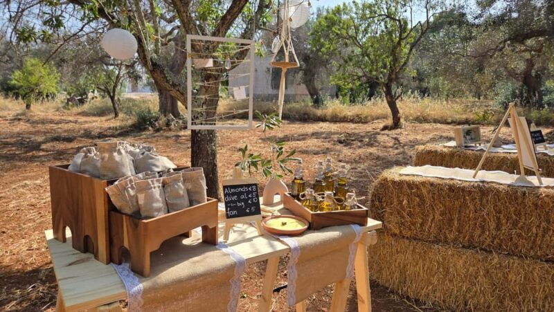 Olive Oil and almond Tour and Tasting: Brindisi, Ostuni - Key Points