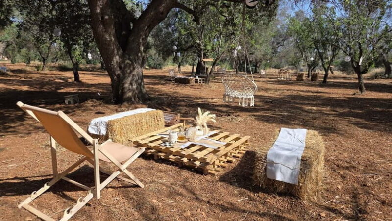 Olive Oil and almond Tour and Tasting: Brindisi, Ostuni - Practical Details and Value