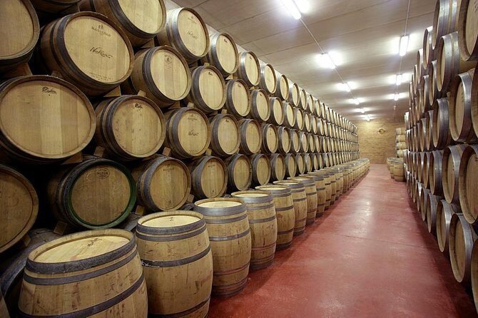 Olive oil and Navarre winery visit with tastings and lunch in small group tour - FAQ
