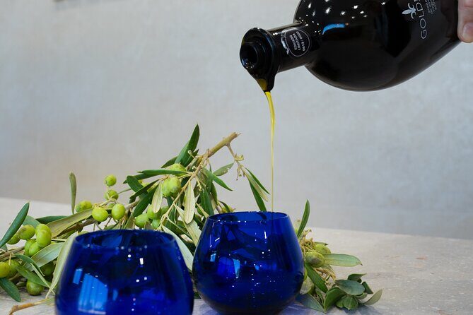 Olive Oil and Winery Tour from Zaragoza City - A Detailed Look at the Olive Oil and Winery Tour from Zaragoza