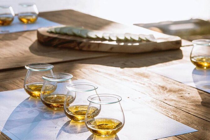 Olive Oil, Cheese, and Wine Tasting with Local Expert - Introduction