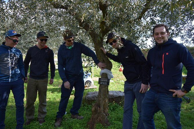 Olive Oil Experience - FAQ