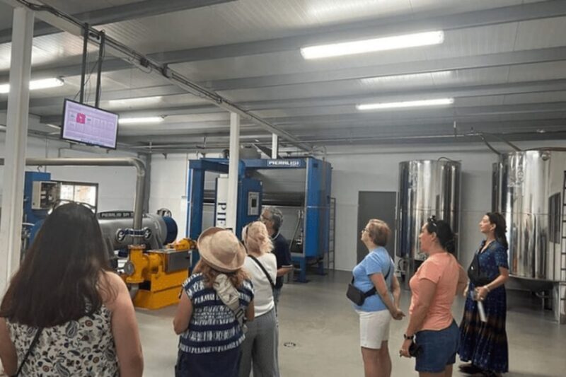 Olive Oil Factory from Sevilla Private Tour - Discover the Secrets of Andalusian Olive Oil on a Private Tour from Seville