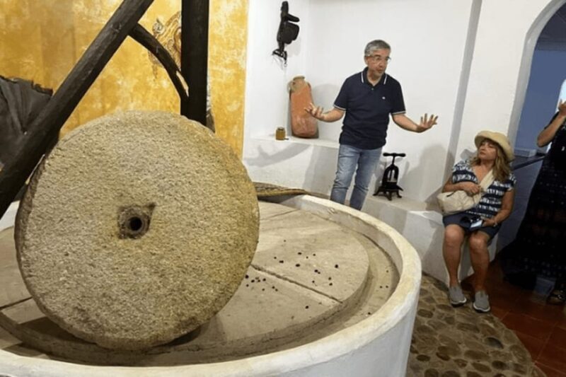 Olive Oil Factory from Sevilla Private Tour - Who Will Enjoy This Tour?