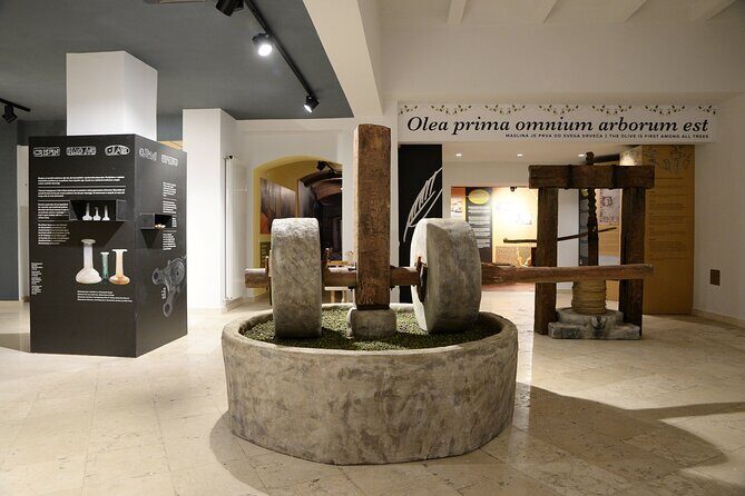 Olive Oil Guided Tasting and History in Pula - The Sum Up: Who’s It Best For?