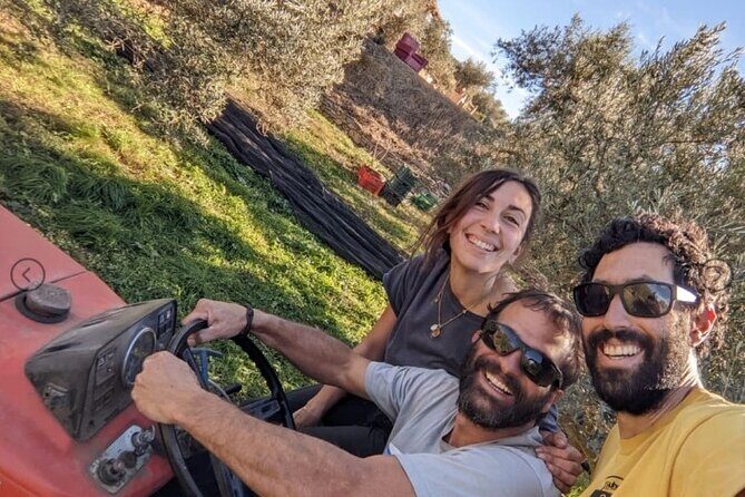 Olive Oil Half Day Private Experience from Granada - Authenticity and Reviews: What Past Travelers Say
