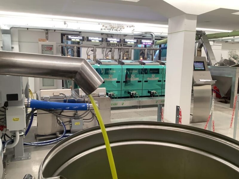 Olive Oil Mill Tour & EVO Oils Tasting - Sarteano, Tuscany - A Closer Look at the Olive Oil Mill Tour & Tasting Experience