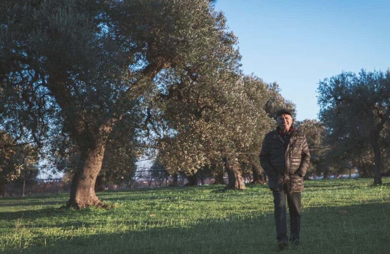 Olive Oil Mill Tour with Tasting and Gift near Bari - Tour Breakdown