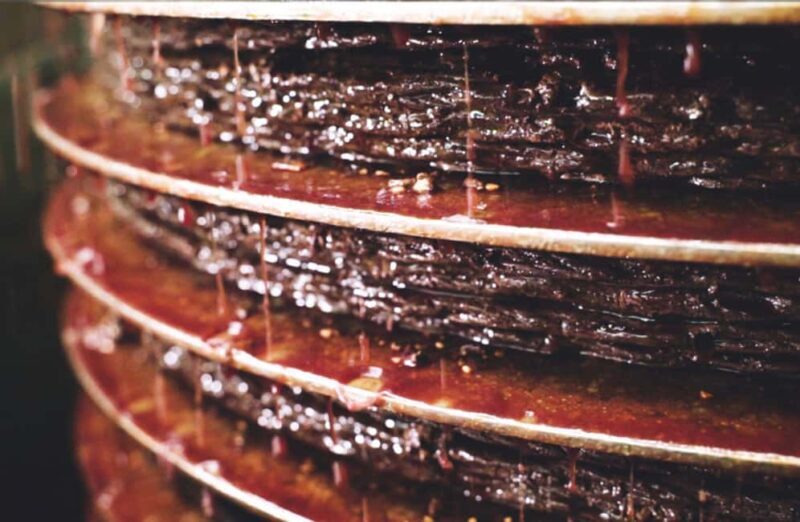 Olive Oil Mill Tour with Tasting and Gift near Bari - Who Will Love This Tour?
