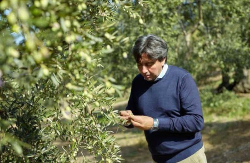 Olive Oil Mill Tour with Tasting near Bari - Why This Tour Offers Impressive Value