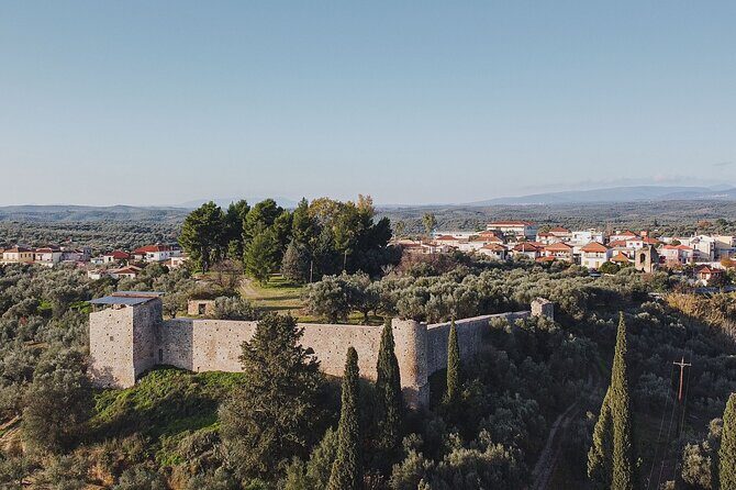 Olive oil Mill Visit-Kalamata Olives and Olive oil Tasting - Who Will Love This Tour?