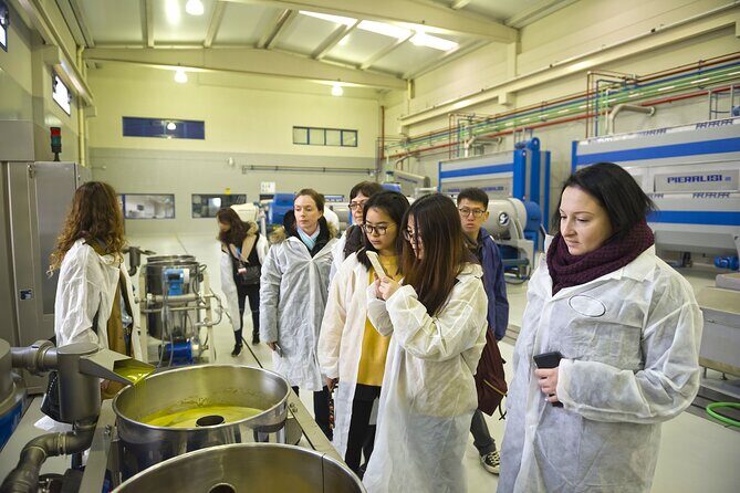 Olive Oil Mill Visit with Extra-Virgin Olive Oil Tasting in Jaén - Final Thoughts